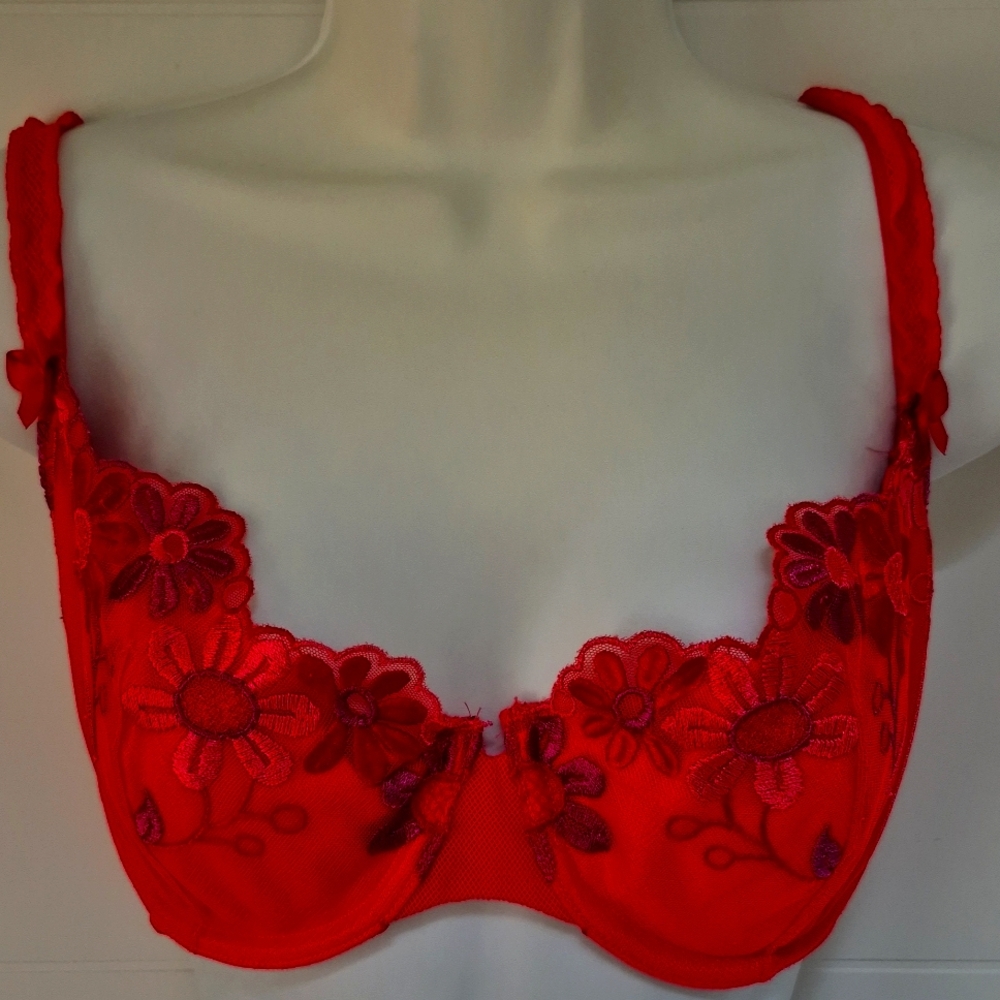 Floral Embroidered Red Bra